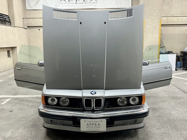 1989 BMW 6 SERIES 缩略图 17