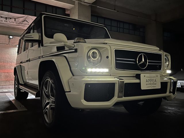2013 Mercedes-BENZ G-CLASS 缩略图 21