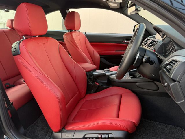 2015 BMW 2 SERIES COUPE — миниатюра 35