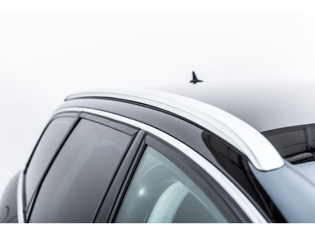 2009 AUDI A6 AVANT 缩略图 21