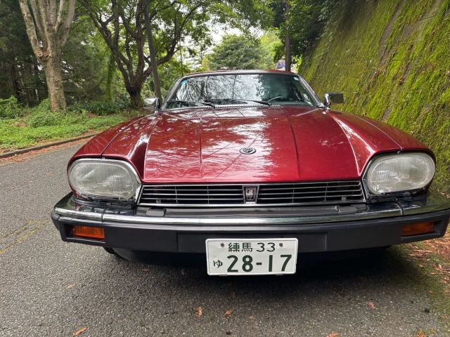 1991 Jaguar XJ-S 缩略图 8