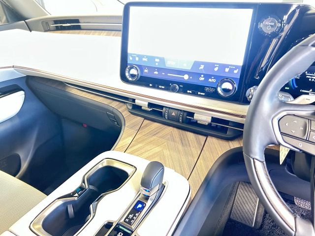 2025 Lexus LM thumbnail 29