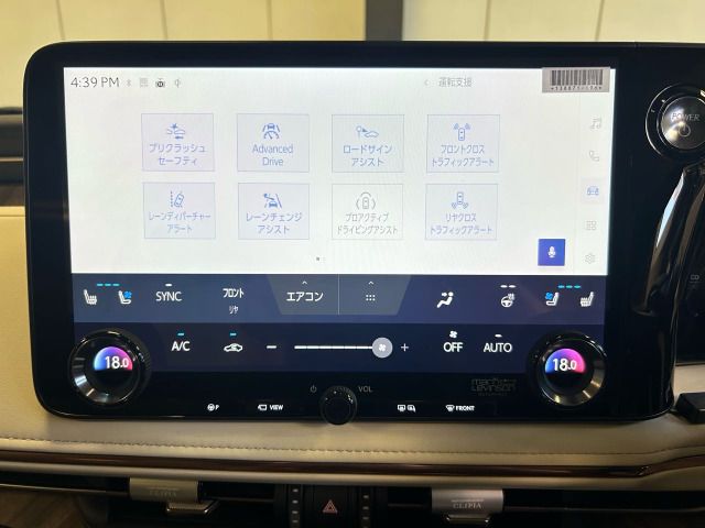 2025 Lexus LM thumbnail 34