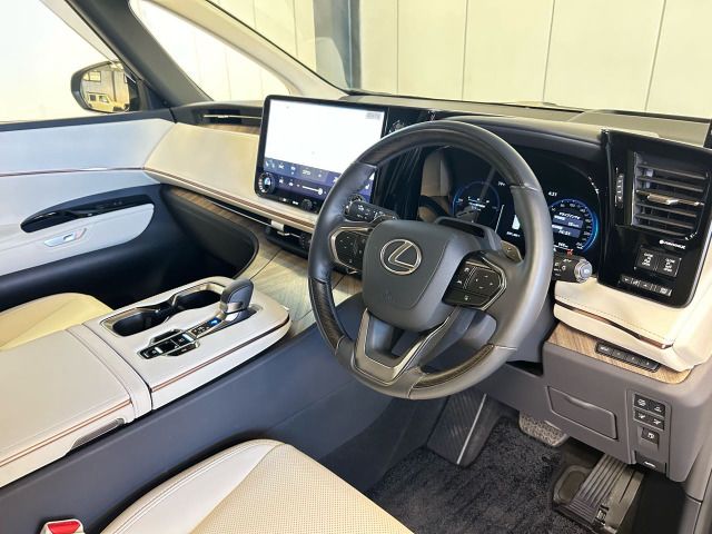 2025 Lexus LM thumbnail 13