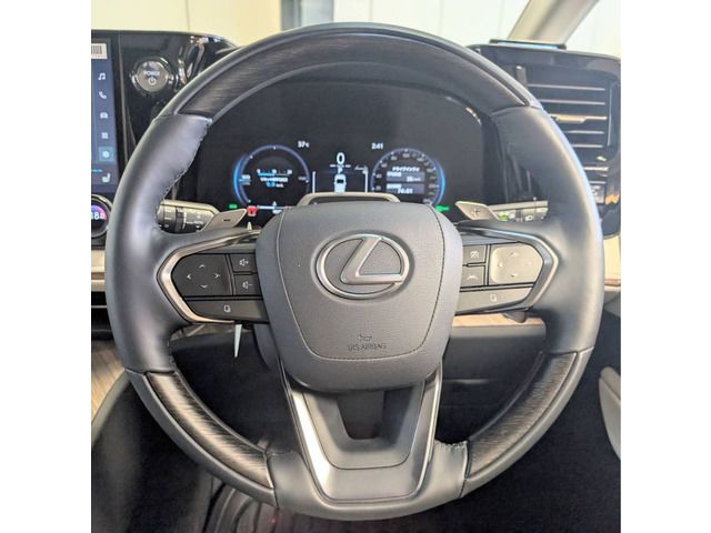 2025 Lexus LM thumbnail 14