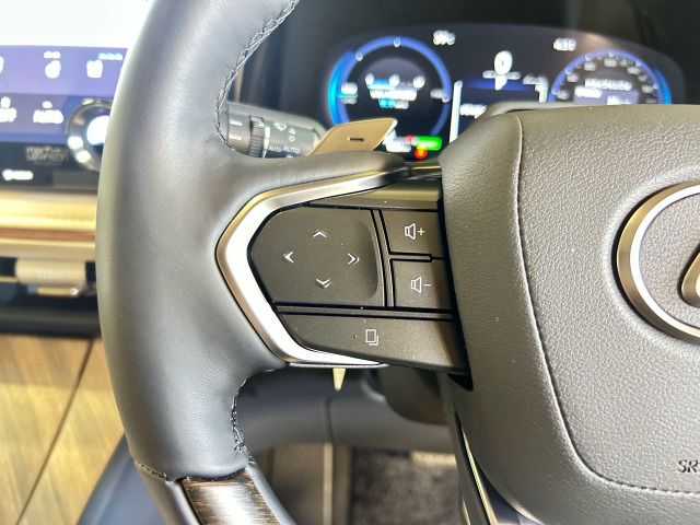 2025 Lexus LM thumbnail 15
