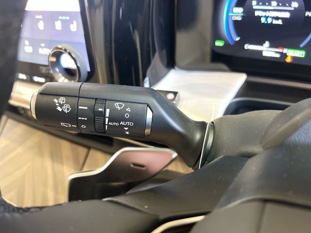 2025 Lexus LM thumbnail 17