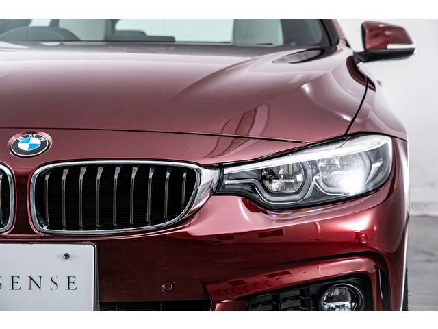 2017 BMW 4 SERIES GRAN COUPE 缩略图 18