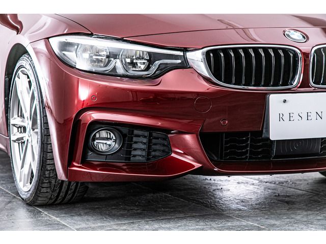 2017 BMW 4 SERIES GRAN COUPE 缩略图 19