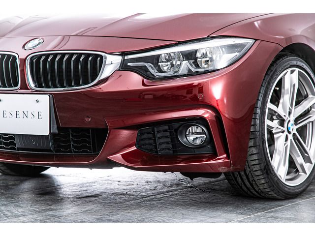 2017 BMW 4 SERIES GRAN COUPE 缩略图 20