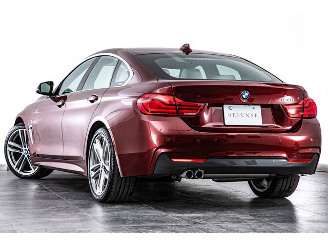 2017 BMW 4 SERIES GRAN COUPE 照片 10