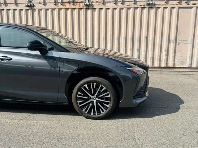 2023 Lexus RZ 缩略图 22