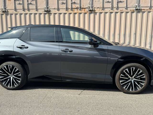 2023 Lexus RZ 缩略图 23
