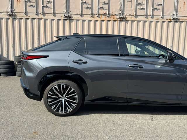 2023 Lexus RZ 缩略图 24