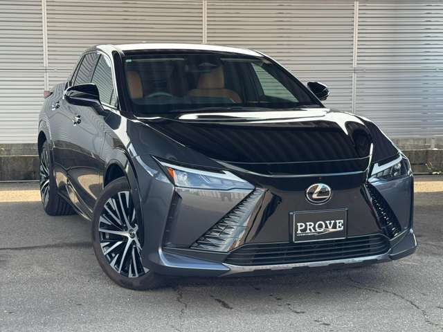 2023 Lexus RZ 缩略图 25