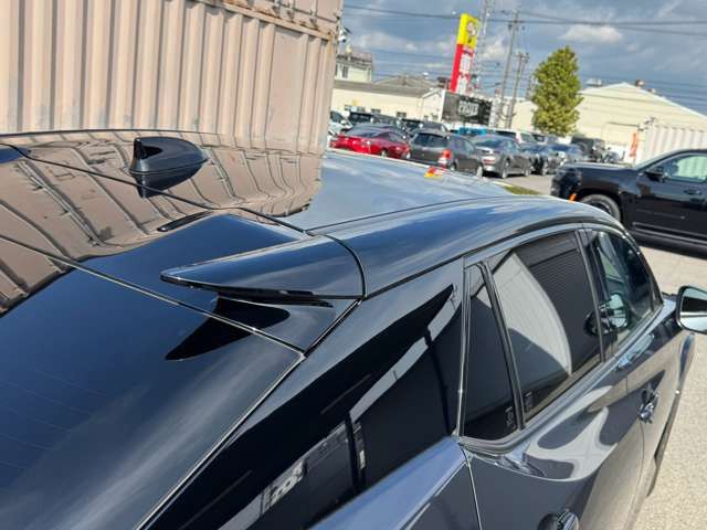 2023 Lexus RZ 缩略图 28