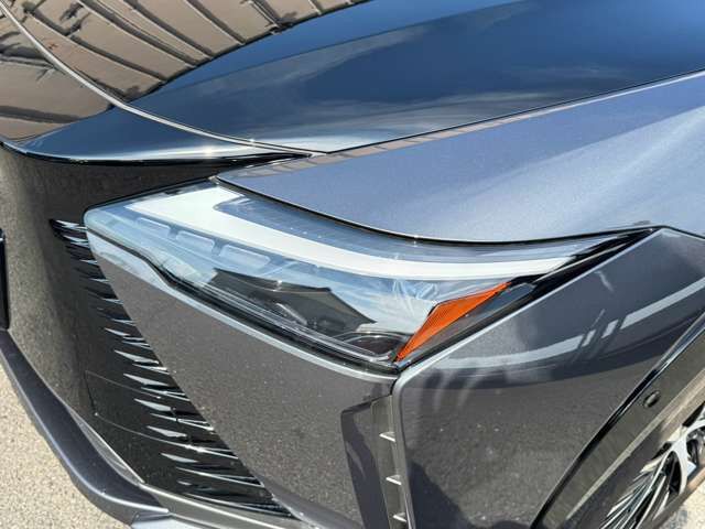 2023 Lexus RZ 缩略图 30
