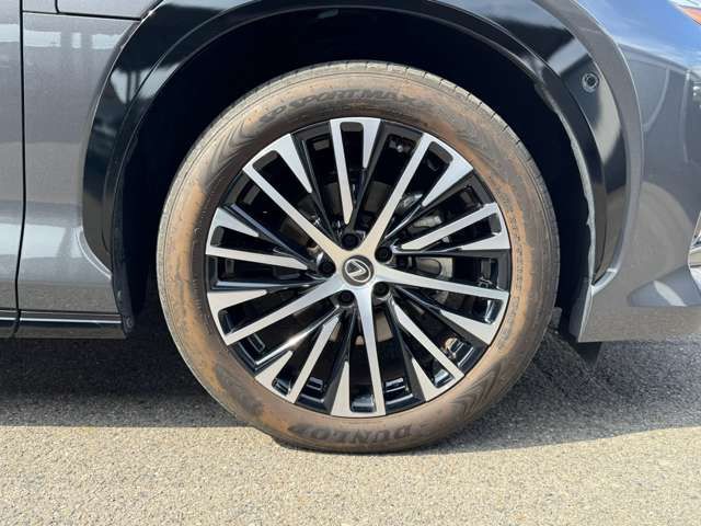 2023 Lexus RZ 缩略图 37