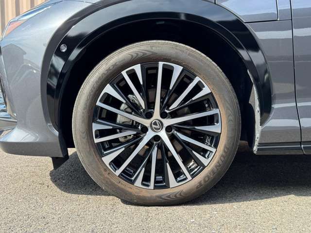 2023 Lexus RZ 缩略图 38