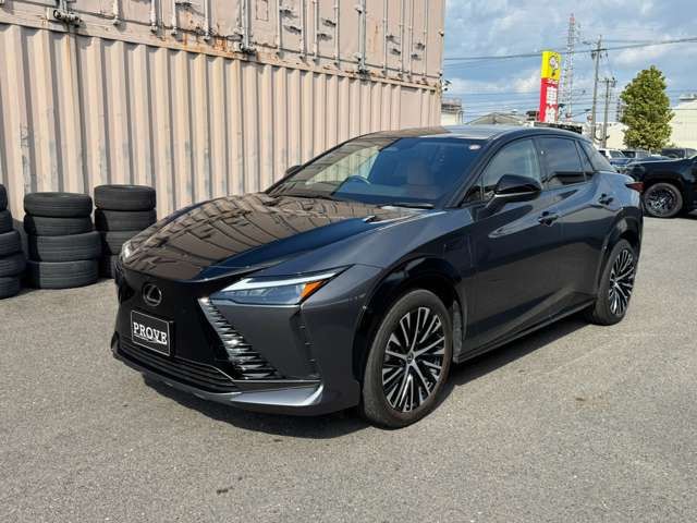 2023 Lexus RZ 缩略图 11
