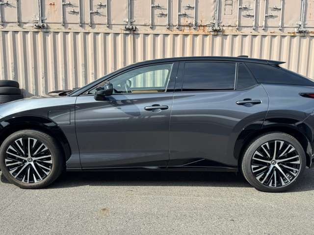2023 Lexus RZ 缩略图 14