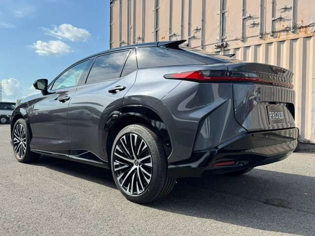 2023 Lexus RZ 缩略图 17