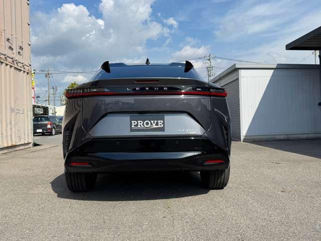 2023 Lexus RZ 缩略图 19