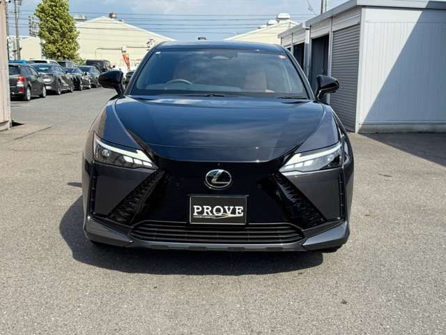 صورة 10 لـ 2023 Lexus RZ