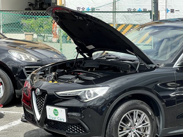 صورة مصغرة 19 لـ 2018 ALFA Romeo STELVIO