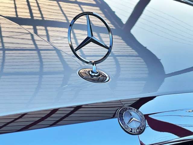 2013 Mercedes-BENZ S-CLASS 缩略图 42