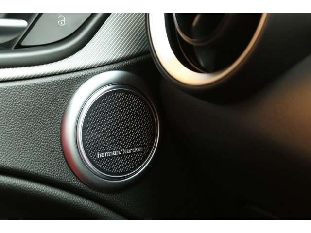 صورة مصغرة 13 لـ 2023 ALFA Romeo STELVIO