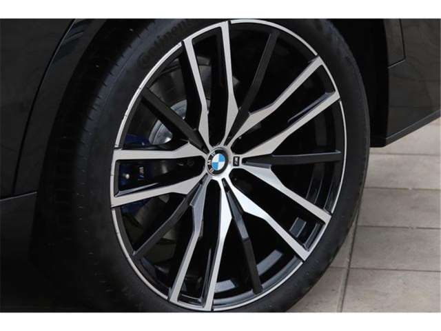 2021 BMW X5 缩略图 32