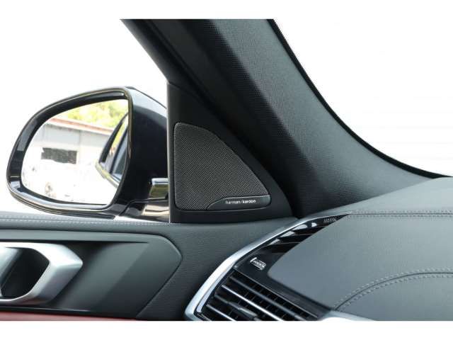 صورة مصغرة 18 لـ 2020 BMW X6