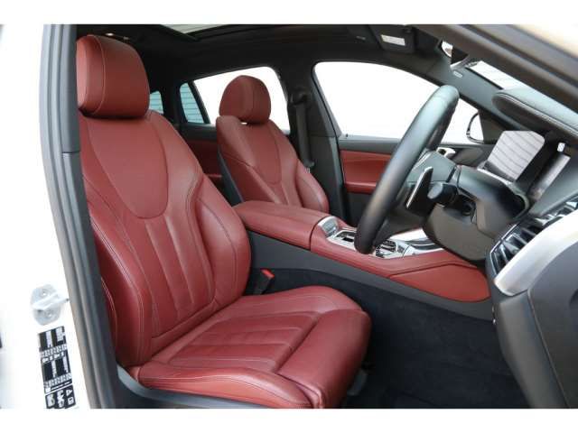 صورة 7 لـ 2020 BMW X6