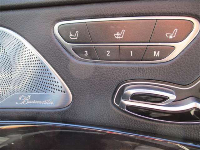 2013 Mercedes-BENZ S-CLASS 缩略图 15