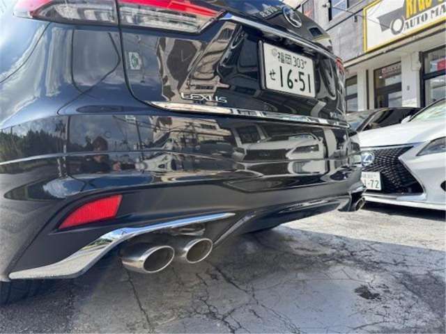 2019 Lexus RX — миниатюра 18