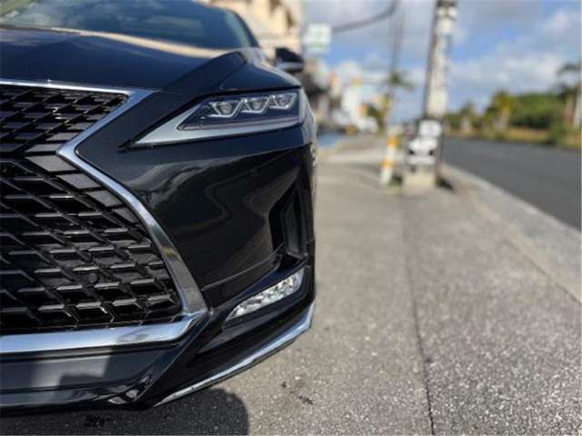 2019 Lexus RX — миниатюра 23