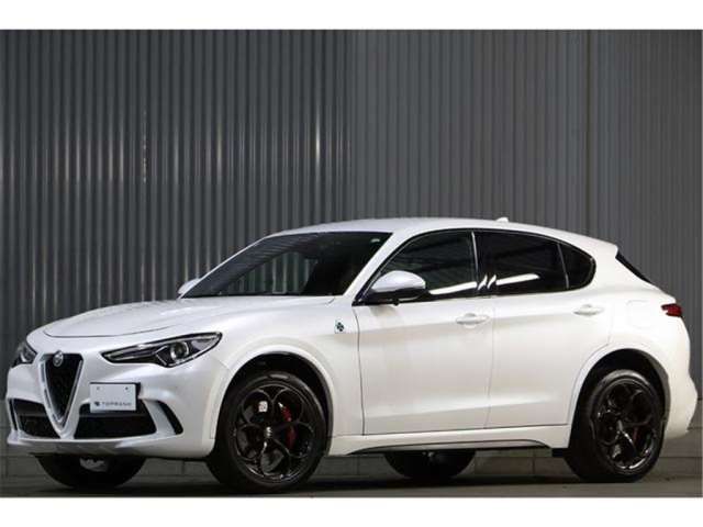 2019 ALFA Romeo STELVIO photo 1