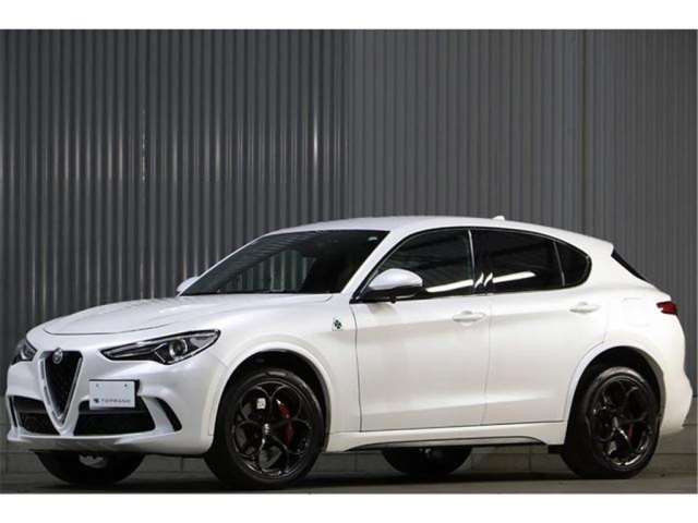 صورة مصغرة 19 لـ 2019 ALFA Romeo STELVIO