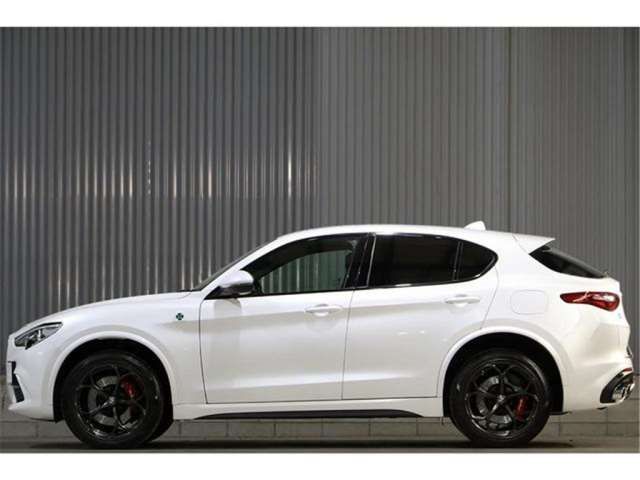 صورة مصغرة 18 لـ 2019 ALFA Romeo STELVIO