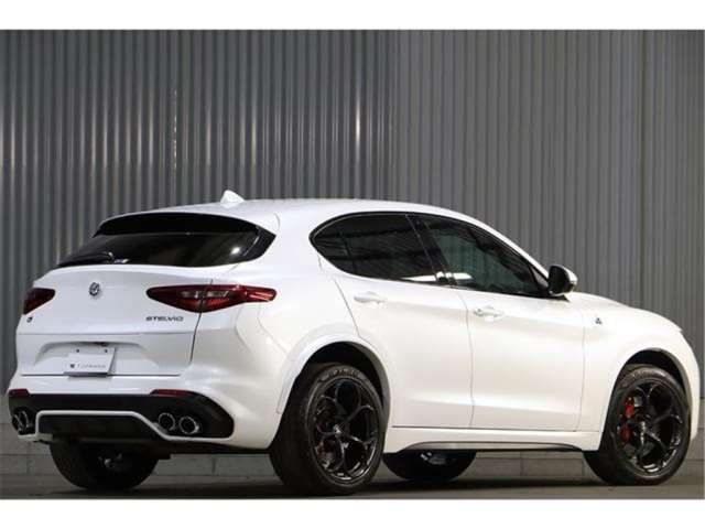 2019 ALFA Romeo STELVIO photo 2