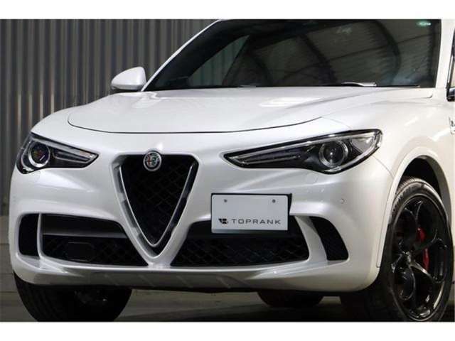 صورة مصغرة 21 لـ 2019 ALFA Romeo STELVIO