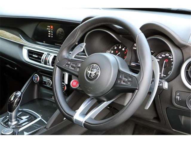 صورة مصغرة 33 لـ 2019 ALFA Romeo STELVIO