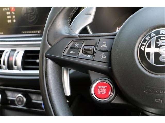 صورة مصغرة 34 لـ 2019 ALFA Romeo STELVIO