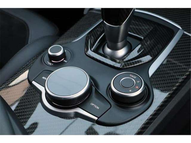 صورة مصغرة 39 لـ 2019 ALFA Romeo STELVIO