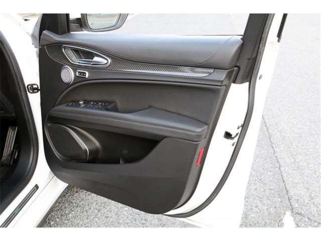 صورة مصغرة 40 لـ 2019 ALFA Romeo STELVIO