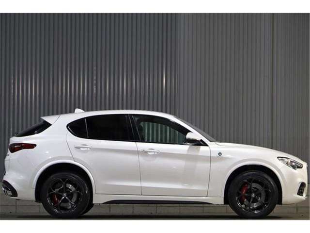 2019 ALFA Romeo STELVIO photo 3