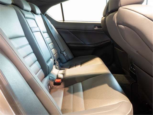 2021 Lexus IS photo 10