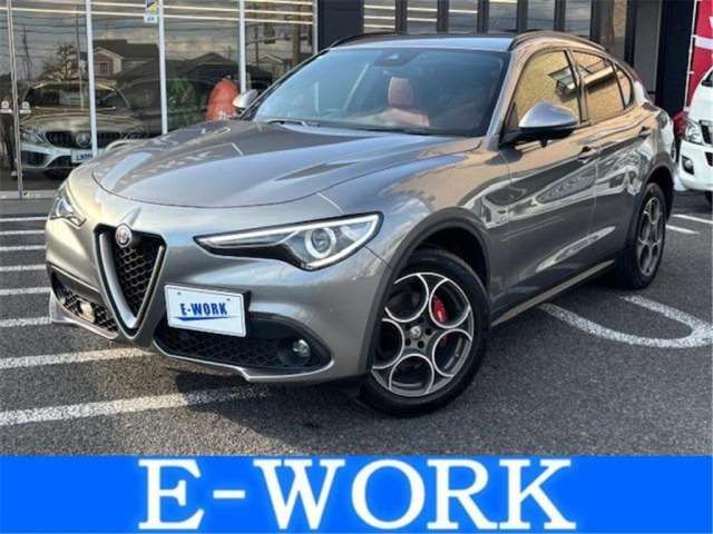 2019 ALFA Romeo STELVIO 照片 1