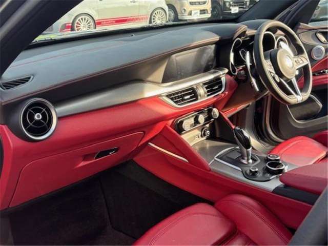 2019 ALFA Romeo STELVIO 缩略图 44